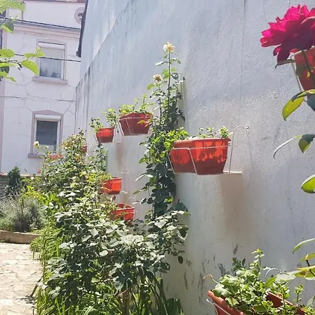 Garden Belgrade